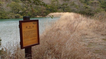昭和池