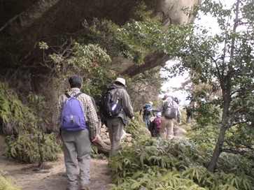 駒ヶ林からの下山