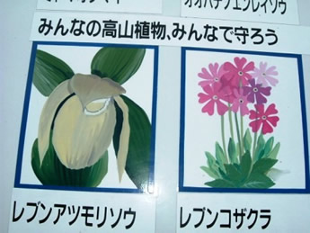 �摜