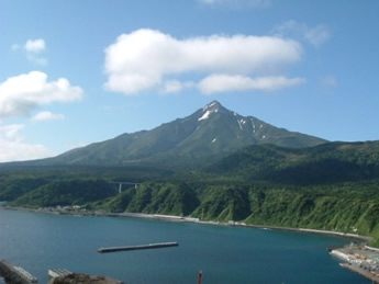 �摜