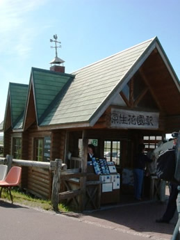 �摜
