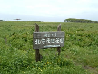 �摜