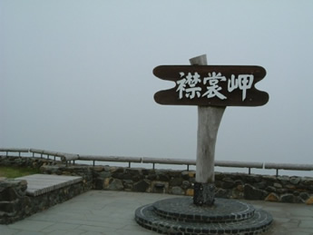 �摜