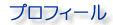 �v���t�B�[��