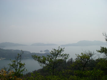 展望台から