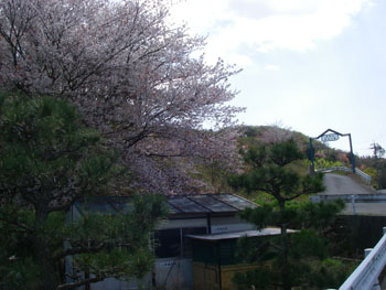 真道山森林公園アーチ
