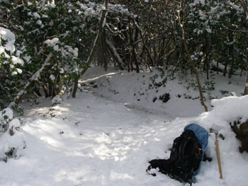 七合目