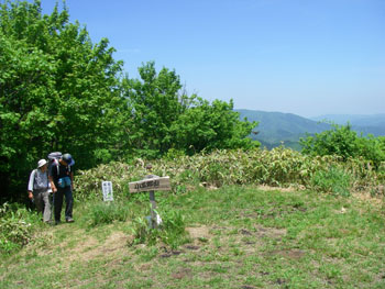 頂上
