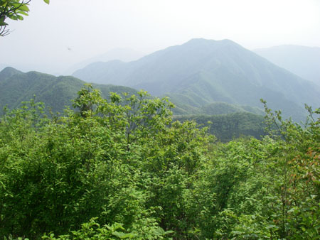 小五郎山