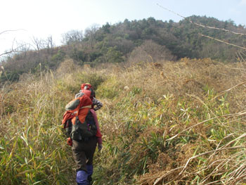 尾根道に