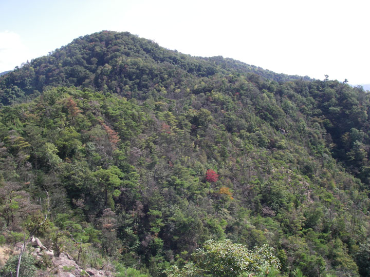 市原山