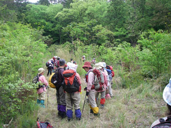 左に上る登山口