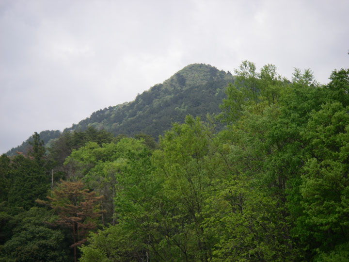 伏谷から見た自然が豊富な寒山
