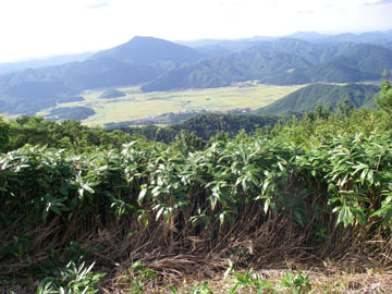 遠方は十種ヶ峰(988m 遠方は十種ヶ峰(988m)