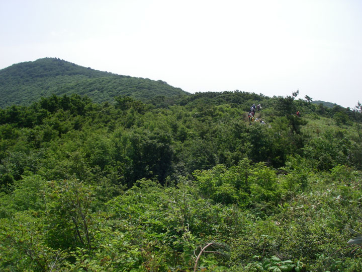 �V��ΎR�i1191m�j