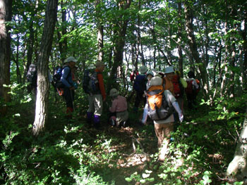 椎谷山山頂