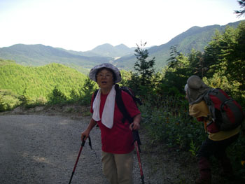 林道を下山